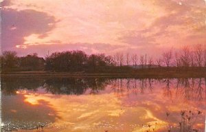 Lincoln Lake, Clear Lake Camp Bucyrus, Ohio OH Postcard