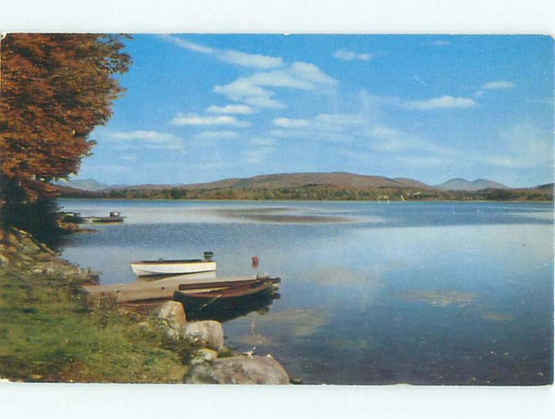 Pre-1980 LAKE SCENE Lake Pleasant - Near Speculator & Piseco New York NY AE3813