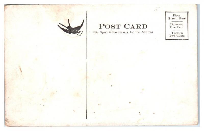 Early Airplane, Herring-Burgess Aeroplane, Plum Island, Newburyport, MA Postcard