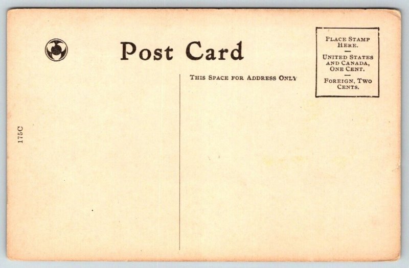 Field's Columbian Museum  Jackson Park   Chicago  Illinois   Postcard  c1915