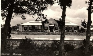 1930s BERMUDA  AQUARIUM  WALTER FUTHERFORD AJ GORHAM RPPC POSTCARD P1647