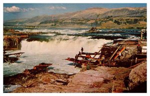 Postcard BUSINESS ACTIVITY SCENE Celilo Falls Oregon OR AQ0696