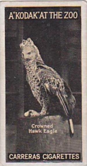Carreras Cigarette Card Kodak At Zoo 1st Series No 50 Crowned Hawk Eagle