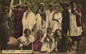 sierra leone, Group of Native People, Sahara Desert Tribes (1913) Postcard