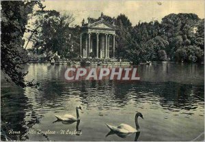 Postcard Modern Roma Villa Borghese Il Laghetto Swans