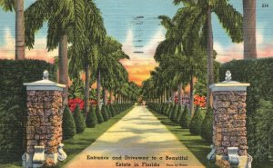 Vintage Postcard 1960's Entrance & Driveway Palm Trees Pathways Beautiful Estate