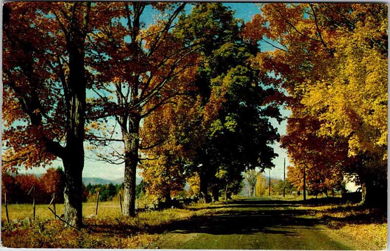 Postcard ROAD SCENE State of Connecticut CT AO2070