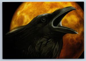 BLACK RAVEN Bird Background of the full Moon New Unposted Postcard