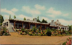 Linen Postcard El Porvenir Lodge, Hermit Peak in New Mexico near Las Vegas