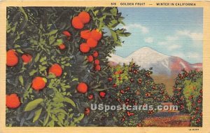 Golden Fruit - MIsc, California CA Postcard