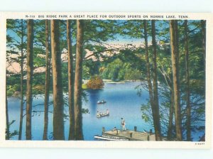 Linen LAKE SCENE Norris Lake - Near Rocky Top & Knoxville Tennessee TN AE4429