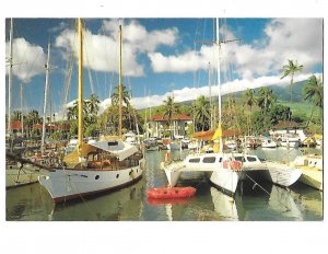 Lahaina Yacht Harbor Maui Hawaii