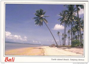 Turtle Island Beach, Tanjung Benoa, BALI, Indonesia, 50-70´s