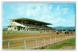 c1960's Horse Racing Caymanas Race Track Near Kingston Jamaica Postcard