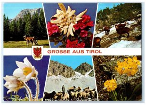 c1960's Greetings From Tyrol Multiple Views Hills Mountains Austria Postcard 