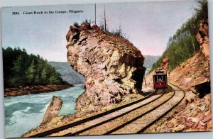 Postcard NY Niagara Falls Giant Rock in the Gorge
