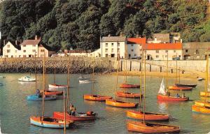 uk7720 the harbour minehead   uk