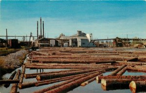 Crocker Shehan Jensen Logging Lumber 1950s Montana Mill Pond #SB14 Postcard 7490