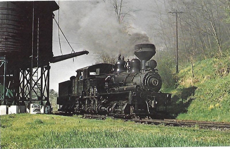 Cass No. 5 Shay Locomotive Train Cass Scenic Railroad Cass West Virginia