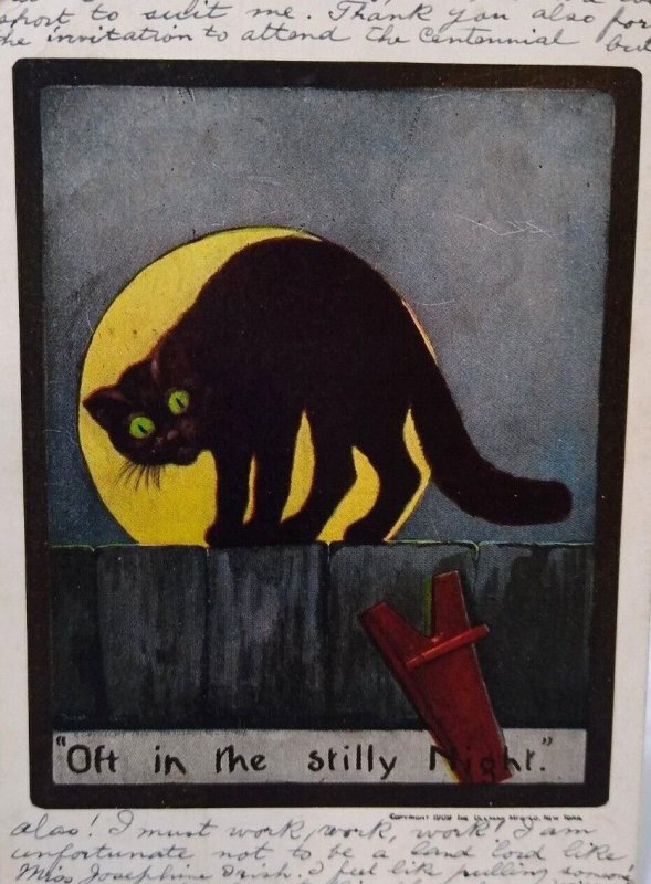 Halloween Postcard Black Cat On Fence Full Moon Ullman Series 138 Memphis 1909