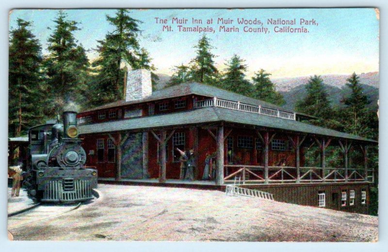 MUIR WOODS, CA California ~ Railroad Train  MUIR INN 1910 Marin County Postcard 