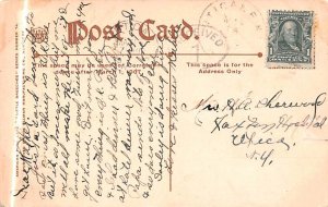 Little Breeches Dog & Chicken Postcard