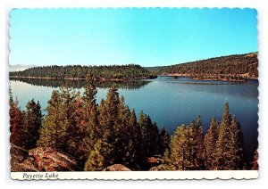 Payette Lake McCall Idaho Continental View Postcard