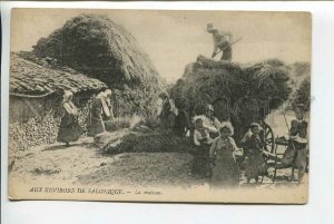439398 Greece suburbs of Thessaloniki Salonique collecting hay in the village
