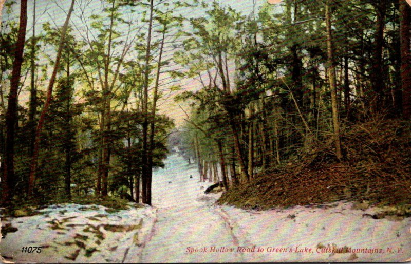 New York Catskills Spook Hollow Road To Green's Lake 1911