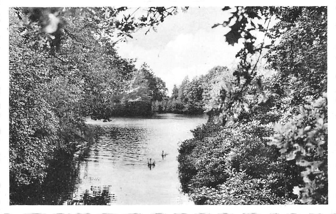 Belgium Park Parc Herstellingsoord Maison De Convalescence Levenslust Retie Hippostcard