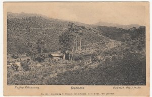 Tanzania; Derema Coffee Plantation PPC By C Vincenti, Unused, c 1910's 