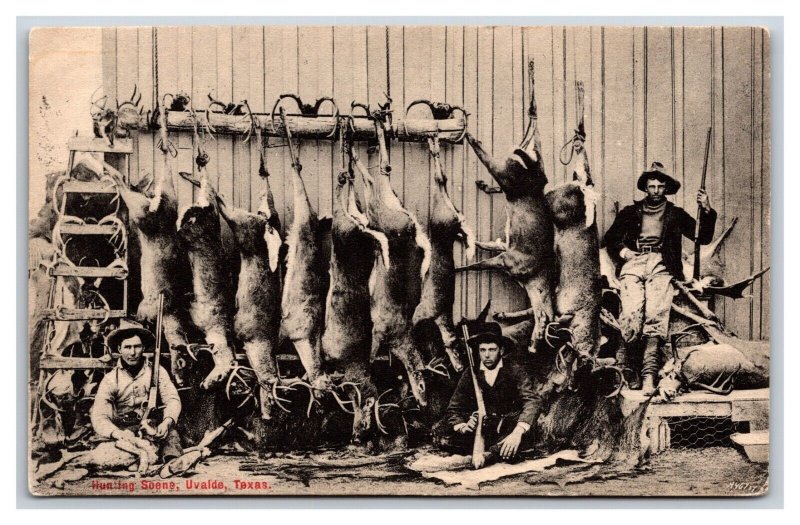 Early Deer Hunting Scene Uvalde Texas TX 1907 DB Postcard U15