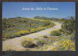 Christmas in AZ Postcard BIN 