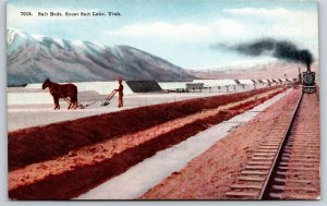 Great Lake Utah~Salt Beds Panorama~Railroad~Steam Train~Horse Plow~c1910 PC
