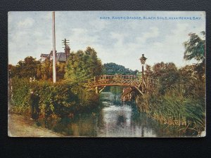 Kent BLACK SOLE Rustic Wooden Bridge HERNE BAY - Old Postcard by Photochrom