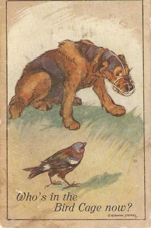 \The bird and the dog, by Y. Stokes\ Antique humorous Englis