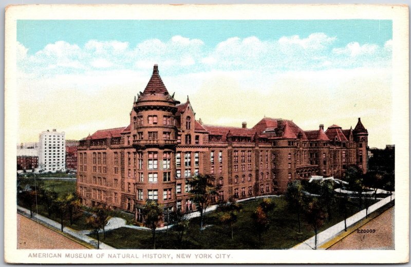 American Museum of Natural History New York City NYC Largest Building Postcard