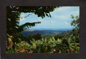 PR Tropical Rain Forest El Yungue Puerto Rico Postcard Care Postale