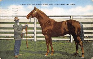 Man O War Horses 1959 