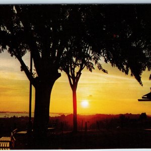 c1960s Singapore Sunset Mount Mt. Faber Sun-Set Chrome Photo Postcard Trees A227