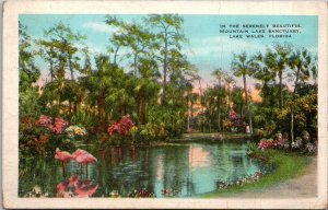 Florida Lake Wales Scene In The Mountain Lake Sanctuary 1932