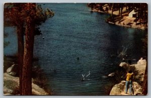 Postcard Big Bear Lake Highway 18 San Bernardino California CA Union Oil Company