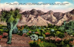 Cactus Desert Flora and Rugged Mountains Of The Great Southwest 1940