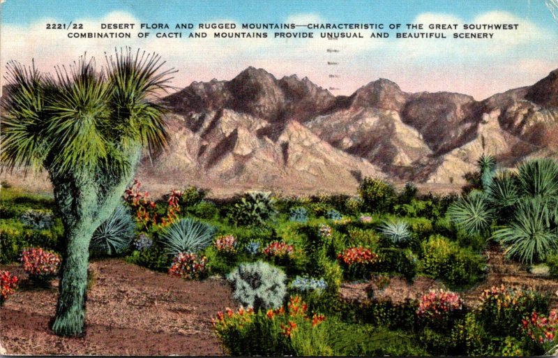 Cactus Desert Flora and Rugged Mountains Of The Great Southwest 1940