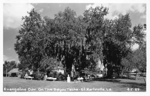 J72/ St Martinville Louisiana RPPC Postcard c1940s Cline Bayou Teche Oak 107