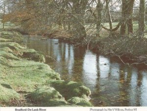 Bradford De Lank River Cornwall Photo Postcard