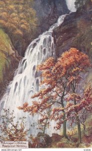 Picturesque Co. Wicklow, Powerscourt Waterfall, 1900-1910s; TUCK 7767