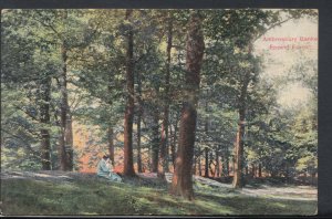 Essex Postcard - Ambresbury Banks, Epping Forest     RS8666