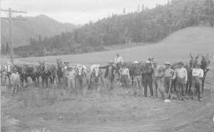 C-1910 Occupational Worker Crew Horses RPPC Photo Postcard 112