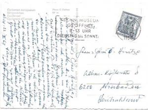 Austria - Osterreich.  Cyclamen flowers 1967 postmark